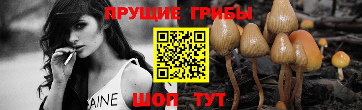 Галлюциногенные грибы прущие грибы Архангельск